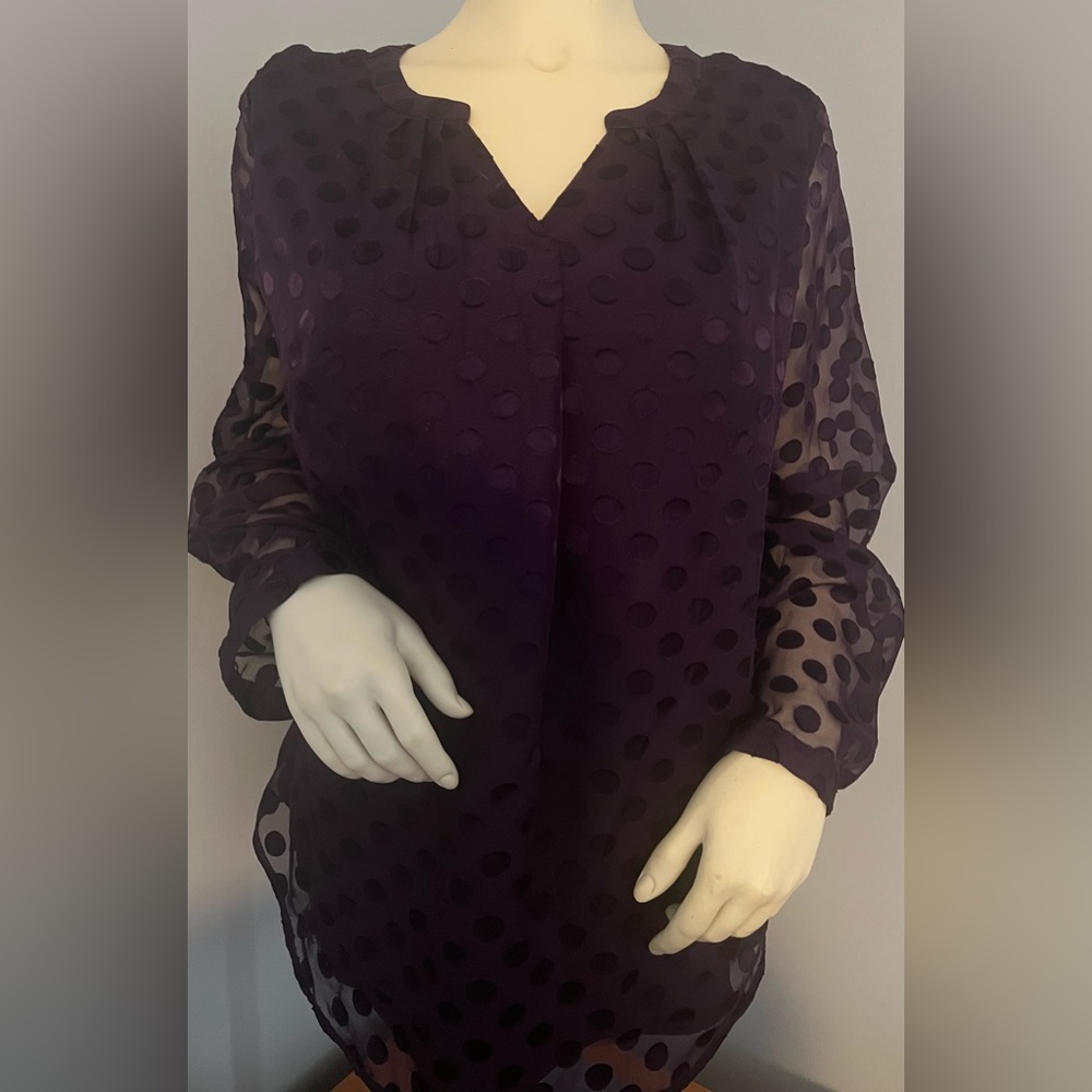 Talbots Purple top with sheer polka dot sleeves.